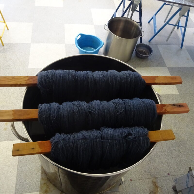 Atelier de teinture naturelle Myrobolan