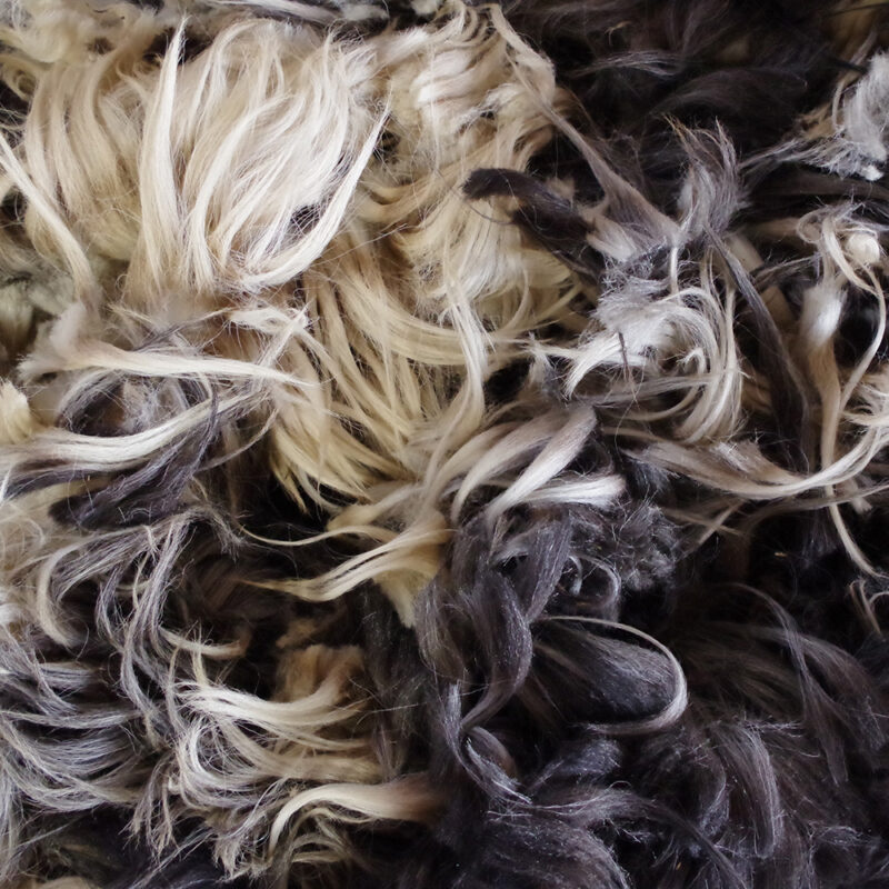 laine, fibres longues, couleurs naturelles